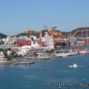 개. 이쁜날 이미지