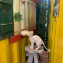 숫자로 알아가는 내 몸 관리 이미지