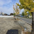 진교주유소 이미지