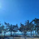 어은돌캠프캠프 | 모항 캠핑장 어은돌캠프캠프, 4가지 매력 포인트와 인생샷 명소