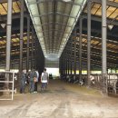 서원목장 이미지