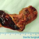 김양식내과의원 이미지