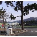 해남동초등학교 정문 이미지