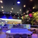 스타오락실 이미지