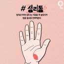 조물조물 이미지