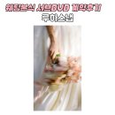 빈티지메인 | W4-3. 웨딩 본식 서브DVD, 루하스냅 6mm 빈티지캠코더 계약후기 & 친구추천구함