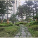 삼성부동산 앞 이미지