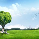 금강2단계스포츠공원 이미지