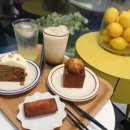 레몬드(Lemoned)