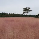 한국예술종합학교, 한예종 이강숙홀 이미지