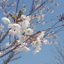 영종농장 이미지