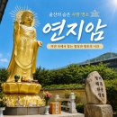 울산 연지암 힐링 코스 추천 숨겨진 사찰 (부처님 오신 날 방문기)