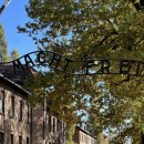 왕궁산장 | 10박 11일 10월 폴란드 여행 총정리