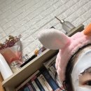 희라낙지 | 2021년 11월 일기