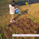 채희농장 이미지