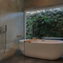 폴개우영 이미지