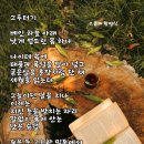 그루터기 - 제주시 조함해안로 428-18 | 그루터기