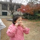 유촌초병설유치원 이미지