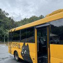 강아지숲 박물관 | [춘천 애견동반 수영장]춘천 강아지숲 네이처풀 다녀온후기