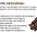체리코나 네이버블로그