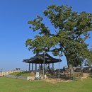 강화평화빌리지 이미지