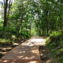 한재골(광장) 이미지