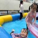 용인대더함태권도장 이미지