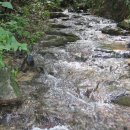 좋은농장 이미지