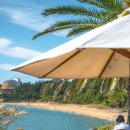 중문관광로 이미지