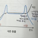 써머리&amp;고양이 내분비계-효과기 이미지