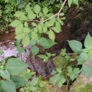 어상천면사무소 이미지