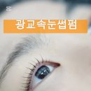 수원-0386 네이버블로그