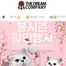 더드림컴퍼니
