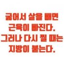 마곡 점핑 다이어트