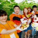 야막리경로당 문화일보