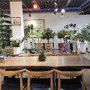 애원목장 이미지