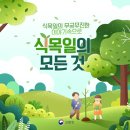 [자연의 기록] 4월 5일, 이 날에 쌓인 1,300년의 의미: 식목일의 역사와 민둥산에서 녹색 산으로