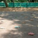 서림공원 유아숲체험원 이미지