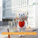 더시퀀스오피스
