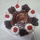 제이엠팜 | [9월 말에 또 쓰는 일상]