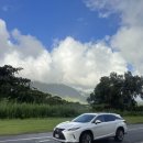 일일 | 렌트 없이 하와이 오아후 일일투어 후기, 투어 추천 🌴