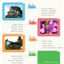 완산고등학교 | (일반고) 완산고등학교 2025 신입생입학안내, 학교안내​​