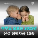 (합)창조연대산업개발 | 아무도 모르는 2025년 신설 정책자금 10종 (경쟁률 1:1)