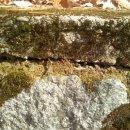 덕소점현대자동차 이미지