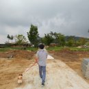 삼강농장 이미지