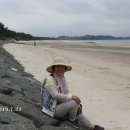 민어도 이미지
