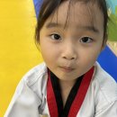 이천 MTA  태권도장 이미지