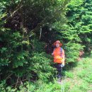 성읍리-22 이미지