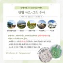 에코아트투어 네이버블로그