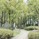 범계역 7번출구(희망공원) 이미지